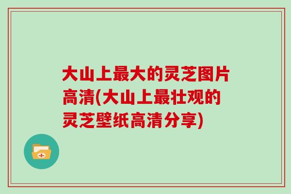 大山上最大的灵芝图片高清(大山上最壮观的灵芝壁纸高清分享)