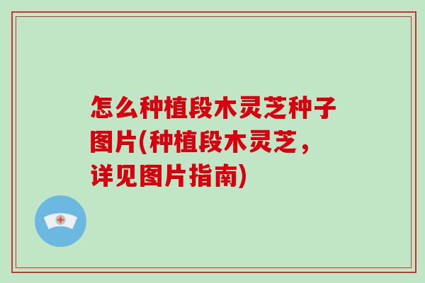 怎么种植段木灵芝种子图片(种植段木灵芝，详见图片指南)-第1张图片-灵芝大师