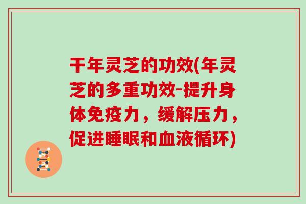 干年灵芝的功效(年灵芝的多重功效-提升身体免疫力，缓解压力，促进睡眠和血液循环)