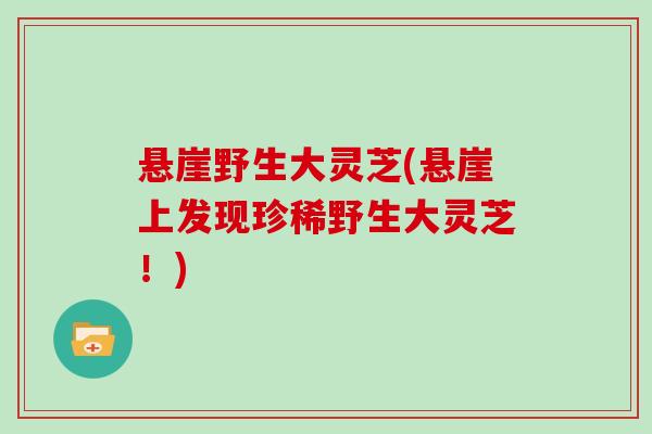 悬崖野生大灵芝(悬崖上发现珍稀野生大灵芝！)