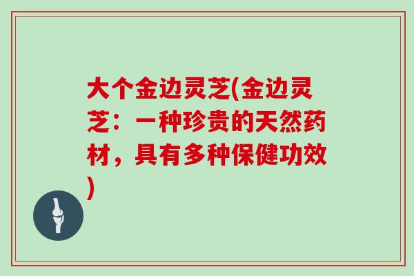 大个金边灵芝(金边灵芝：一种珍贵的天然药材，具有多种保健功效)