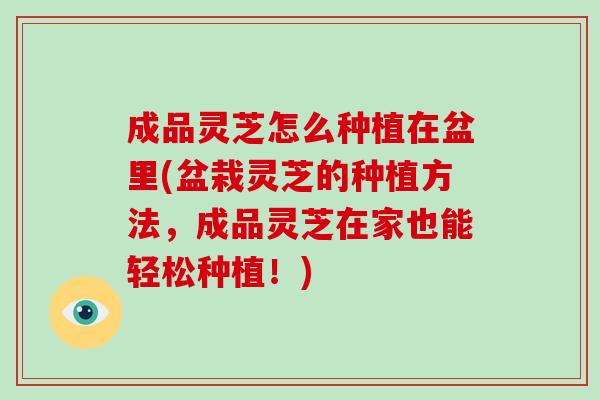 成品灵芝怎么种植在盆里(盆栽灵芝的种植方法，成品灵芝在家也能轻松种植！)