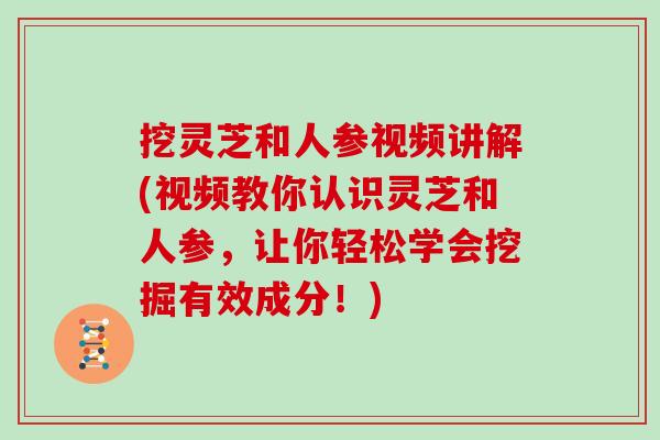 挖灵芝和人参视频讲解(视频教你认识灵芝和人参，让你轻松学会挖掘有效成分！)