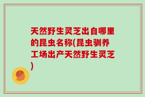 天然野生灵芝出自哪里的昆虫名称(昆虫驯养工场出产天然野生灵芝)