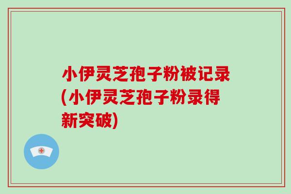 小伊灵芝孢子粉被记录(小伊灵芝孢子粉录得新突破)