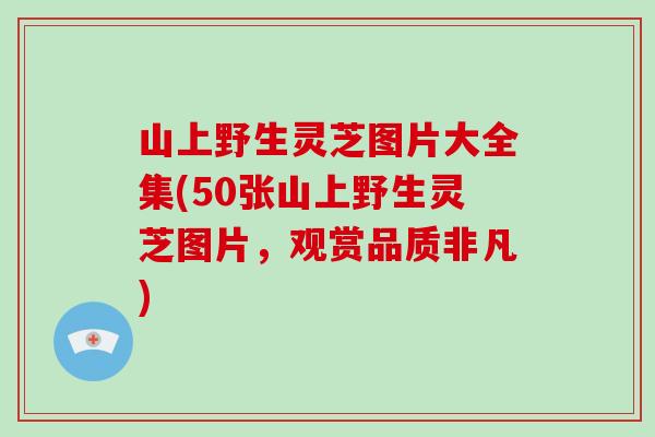 山上野生灵芝图片大全集(50张山上野生灵芝图片，观赏品质非凡)