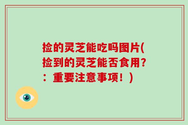 捡的灵芝能吃吗图片(捡到的灵芝能否食用？：重要注意事项！)