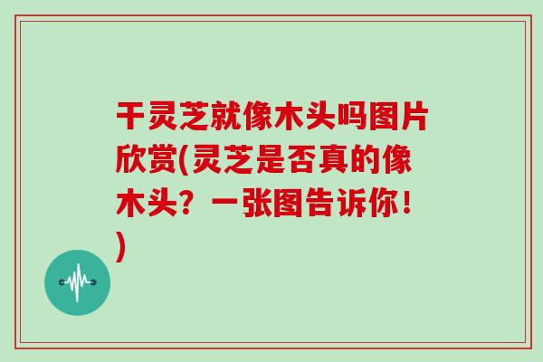 干灵芝就像木头吗图片欣赏(灵芝是否真的像木头？一张图告诉你！)