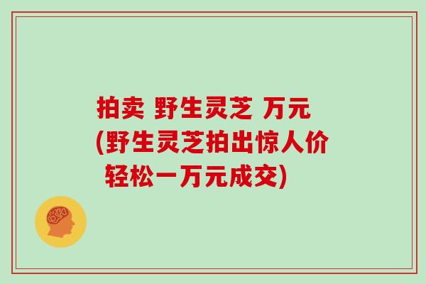 拍卖 野生灵芝 万元(野生灵芝拍出惊人价 轻松一万元成交)