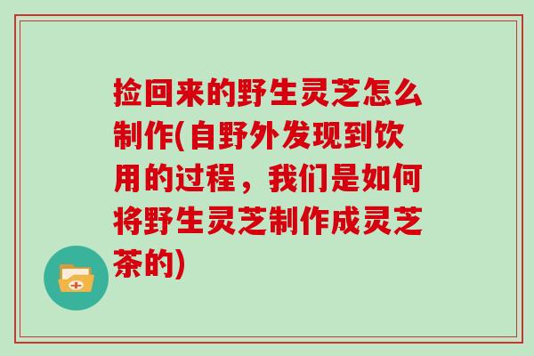 捡回来的野生灵芝怎么制作(自野外发现到饮用的过程，我们是如何将野生灵芝制作成灵芝茶的)