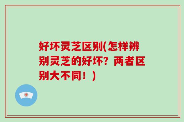好坏灵芝区别(怎样辨别灵芝的好坏？两者区别大不同！)