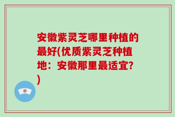 安徽紫灵芝哪里种植的最好(优质紫灵芝种植地：安徽那里最适宜？)