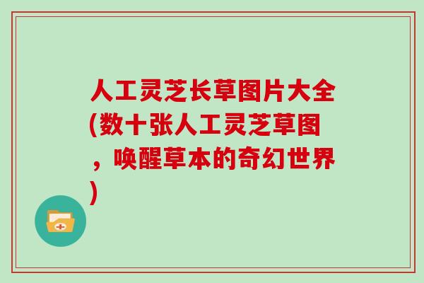 人工灵芝长草图片大全(数十张人工灵芝草图，唤醒草本的奇幻世界)