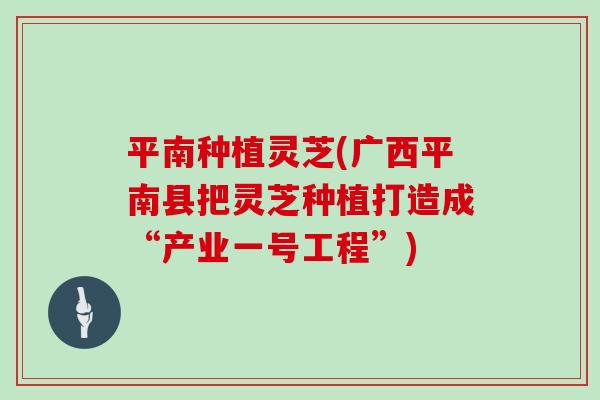 平南种植灵芝(广西平南县把灵芝种植打造成“产业一号工程”)