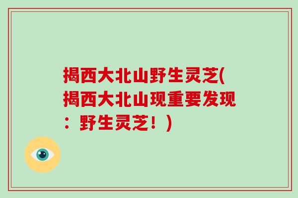 揭西大北山野生灵芝(揭西大北山现重要发现：野生灵芝！)