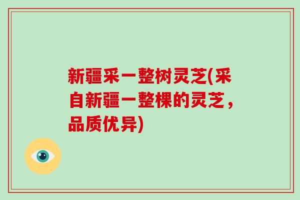 新疆采一整树灵芝(采自新疆一整棵的灵芝，品质优异)