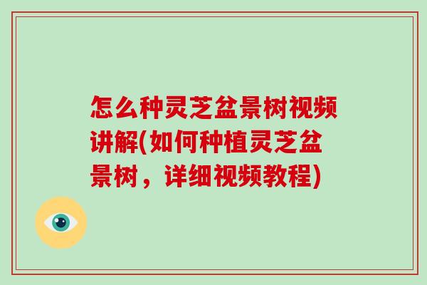 怎么种灵芝盆景树视频讲解(如何种植灵芝盆景树,详细视频教程)-第1张图片-灵芝大师 怎么种灵芝盆景树视频讲解(如何种植灵芝盆景树,详细视频教程)-第1张图片-灵芝大师