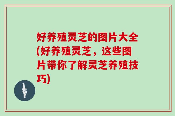 好养殖灵芝的图片大全(好养殖灵芝，这些图片带你了解灵芝养殖技巧)
