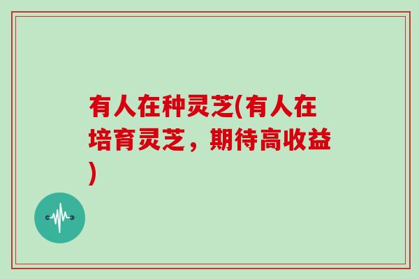 有人在种灵芝(有人在培育灵芝，期待高收益)