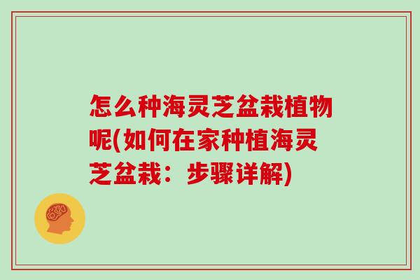 怎么种海灵芝盆栽植物呢(如何在家种植海灵芝盆栽:步骤详解)-第1张图片-灵芝大师 怎么种海灵芝盆栽植物呢(如何在家种植海灵芝盆栽:步骤详解)-第1张图片-灵芝大师
