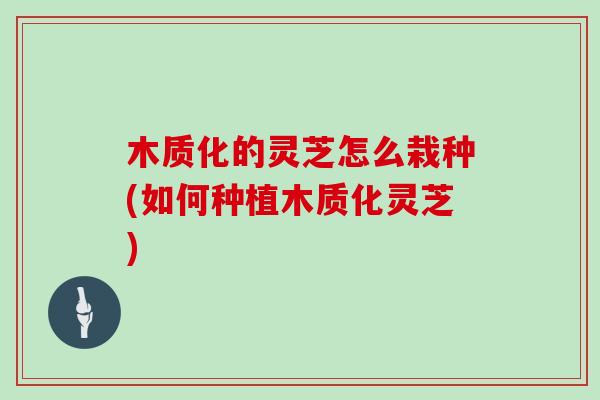 木质化的灵芝怎么栽种(如何种植木质化灵芝)