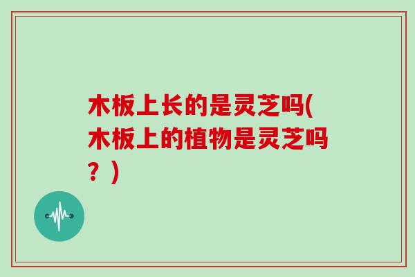木板上长的是灵芝吗(木板上的植物是灵芝吗？)