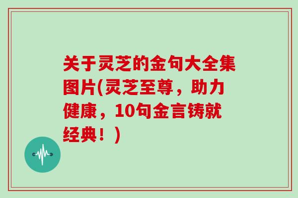 关于灵芝的金句大全集图片(灵芝至尊，助力健康，10句金言铸就经典！)