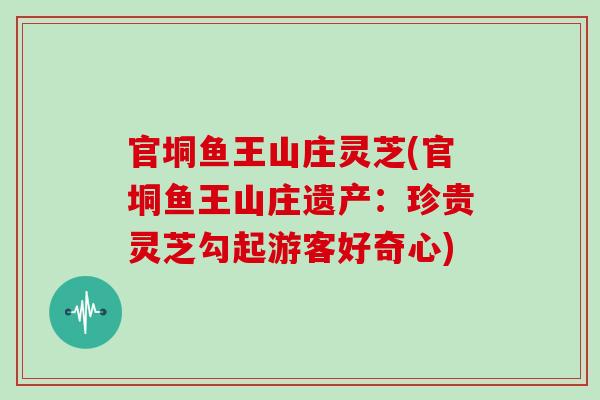 官垌鱼王山庄灵芝(官垌鱼王山庄遗产：珍贵灵芝勾起游客好奇心)