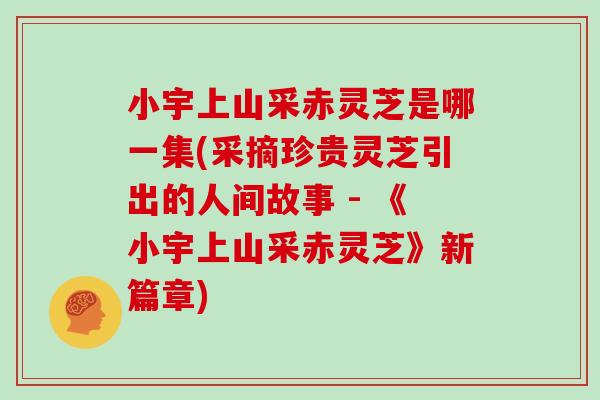 小宇上山采赤灵芝是哪一集(采摘珍贵灵芝引出的人间故事 - 《小宇上山采赤灵芝》新篇章)-第1张图片-灵芝大师