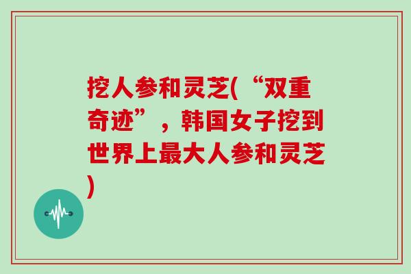 挖人参和灵芝(“双重奇迹”，韩国女子挖到世界上最大人参和灵芝)