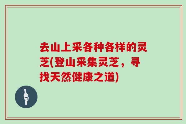 去山上采各种各样的灵芝(登山采集灵芝，寻找天然健康之道)