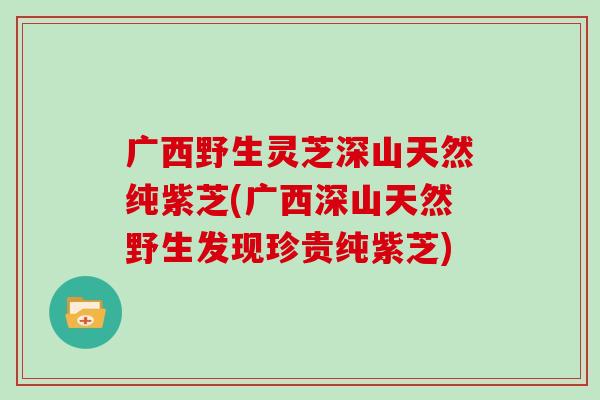 广西野生灵芝深山天然纯紫芝(广西深山天然野生发现珍贵纯紫芝)