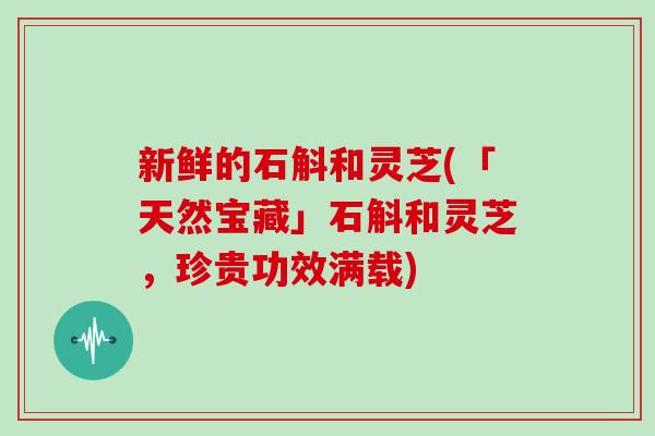 新鲜的石斛和灵芝(「天然宝藏」石斛和灵芝，珍贵功效满载)-第1张图片-灵芝大师