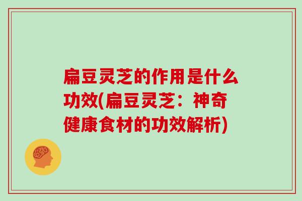 扁豆灵芝的作用是什么功效(扁豆灵芝:神奇健康食材的功效解析)-第1张图片-灵芝大师 扁豆灵芝的作用是什么功效(扁豆灵芝:神奇健康食材的功效解析)-第1张图片-灵芝大师