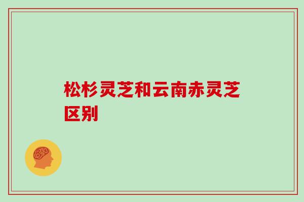 松杉灵芝和云南赤灵芝区别