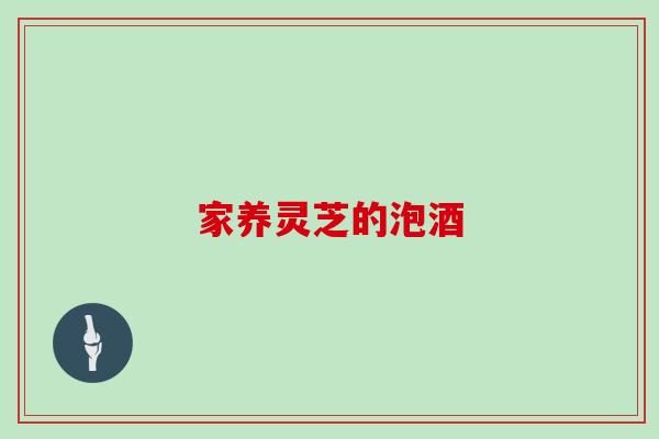 家养灵芝的泡酒