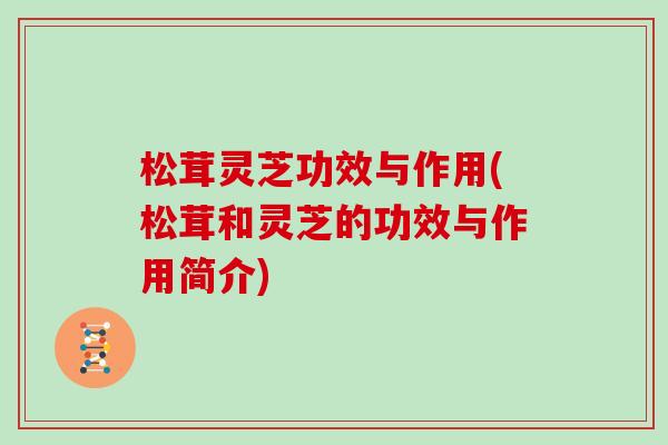 松茸灵芝功效与作用(松茸和灵芝的功效与作用简介)