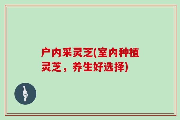 户内采灵芝(室内种植灵芝，养生好选择)
