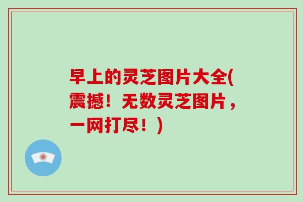 早上的灵芝图片大全(震撼！无数灵芝图片，一网打尽！)