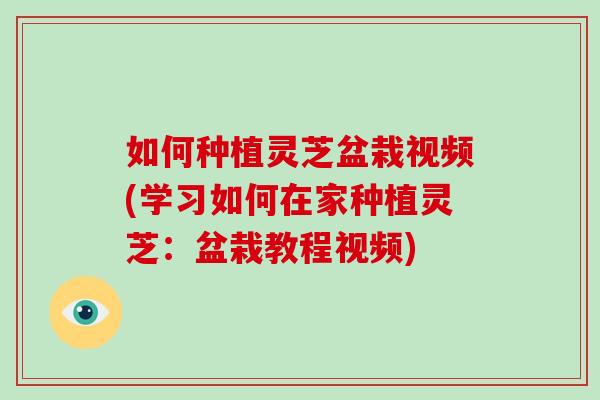 如何种植灵芝盆栽视频(学习如何在家种植灵芝：盆栽教程视频)