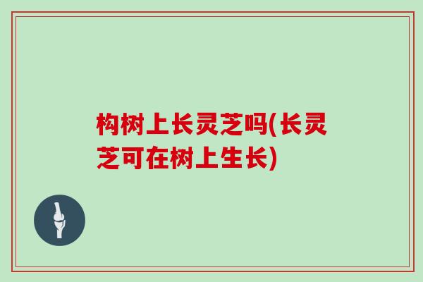 构树上长灵芝吗(长灵芝可在树上生长)