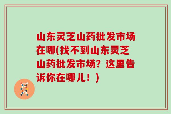 山东灵芝山药批发市场在哪(找不到山东灵芝山药批发市场？这里告诉你在哪儿！)