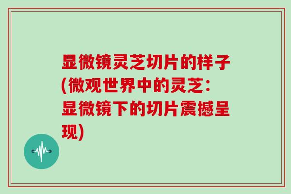 显微镜灵芝切片的样子(微观世界中的灵芝：显微镜下的切片震撼呈现)