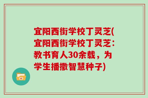 宜阳西街学校丁灵芝(宜阳西街学校丁灵芝：教书育人30余载，为学生播撒智慧种子)