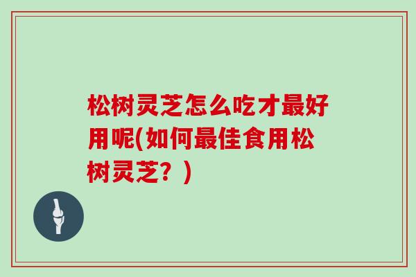 松树灵芝怎么吃才最好用呢(如何最佳食用松树灵芝？)