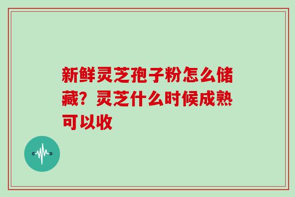 新鲜灵芝孢子粉怎么储藏？灵芝什么时候成熟可以收