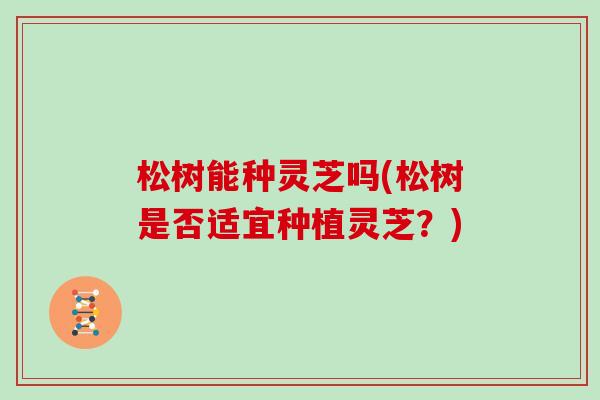 松树能种灵芝吗(松树是否适宜种植灵芝？)