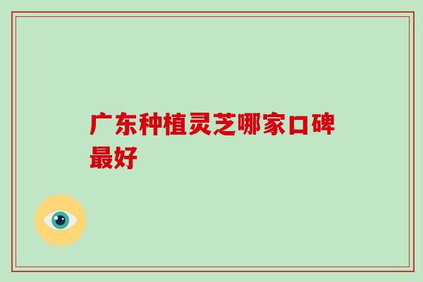 广东种植灵芝哪家口碑最好