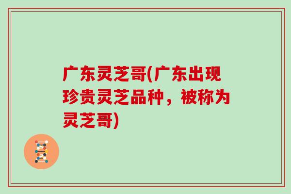 广东灵芝哥(广东出现珍贵灵芝品种，被称为灵芝哥)