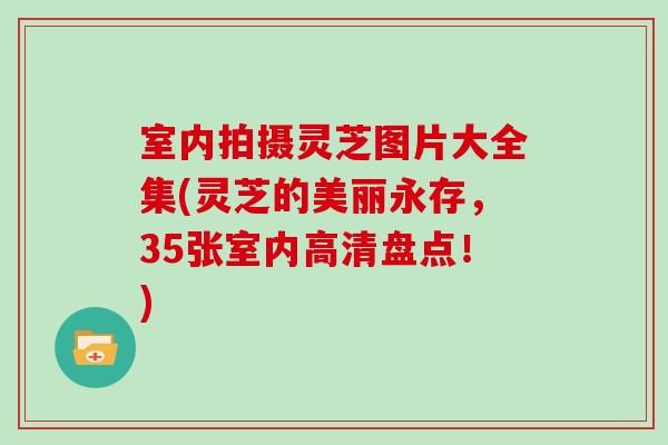 室内拍摄灵芝图片大全集(灵芝的美丽永存，35张室内高清盘点！)